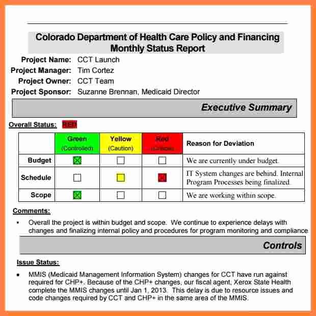 Sample Project Status Report Template Inspirational 6 Monthly Status Report Template Project Management