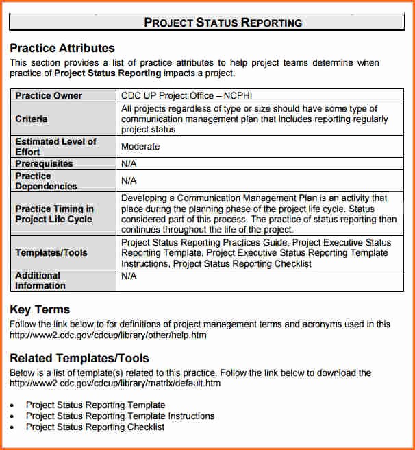 Sample Project Status Report Template Luxury 8 Weekly Status Report Template Doc Bud Template Letter