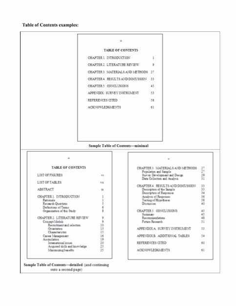 Sample Table Of Contents format Fresh 20 Table Of Contents Templates and Examples Template Lab