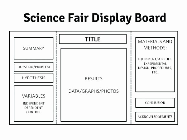 Science Fair Project Template Word Best Of 100 Science Fair Project Template Word Here is Preview