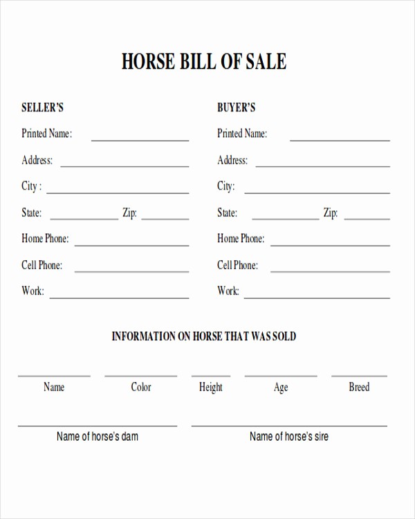 Simple Bill Of Sale forms Elegant 8 Horse Bill Of Sales