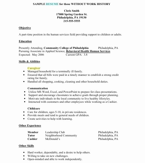 Simple Resume Examples for Jobs Unique Simple Job Resume Examples