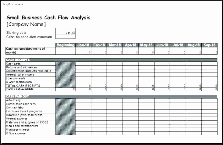 Small Business Cash Flow Projection Best Of Cash Management Template Daily Cash Flow Template Excel