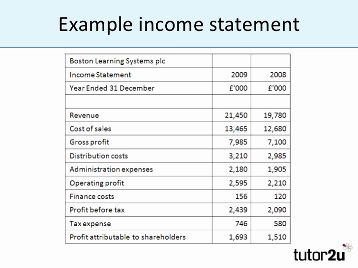 Small Business Income Statement Example Elegant Simple In E Statement Example 1 Simple In E Statement