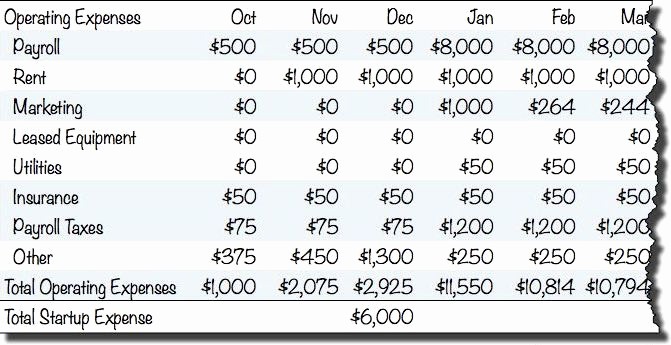 Startup Expenses and Capitalization Spreadsheet Fresh Business Plan Financials Starting Costs Planning