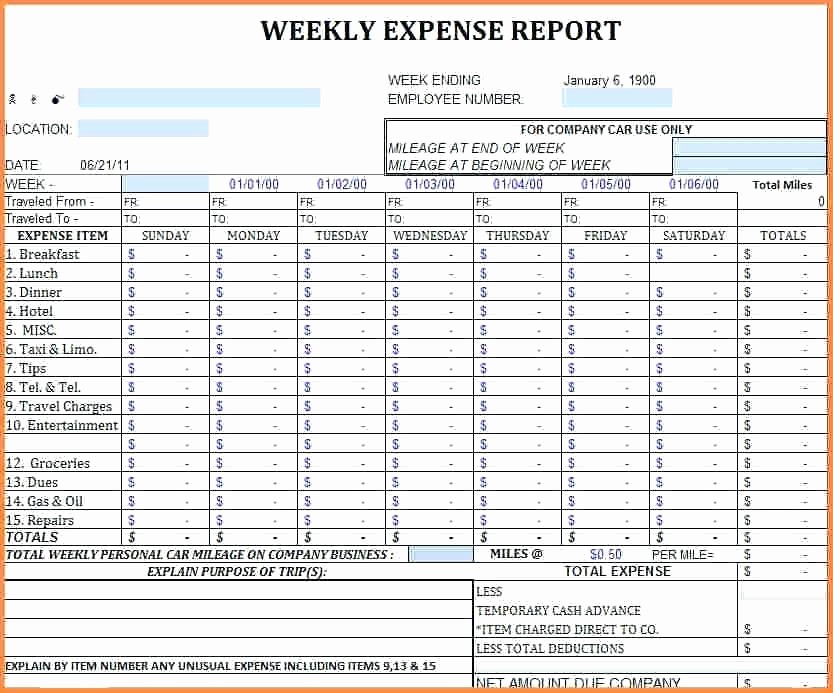 Startup Expenses and Capitalization Spreadsheet Luxury Example Travel Bud Template Construction Cost Excel