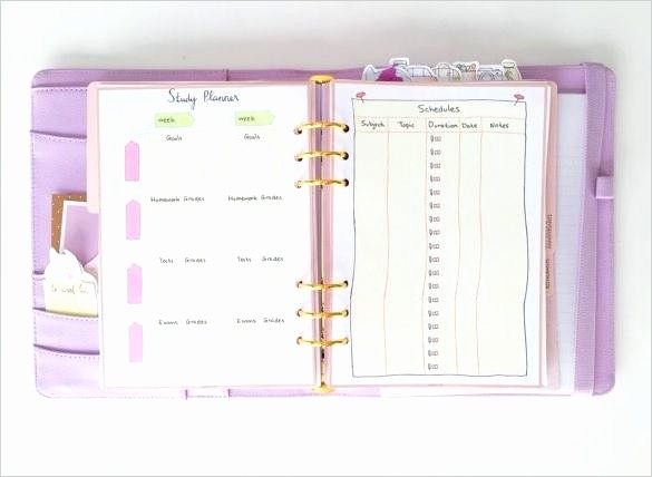 Study Plan Template for Students Inspirational Download Cute Printable Study Planner Schedule Template