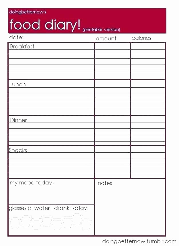 Table Of Contents Blank Template Awesome Blank Table Contents Blank Blank Table Contents for