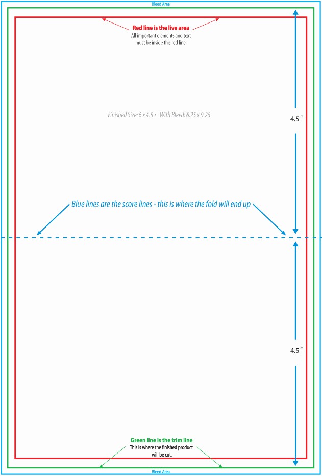 50 Table Tent Template Microsoft Word