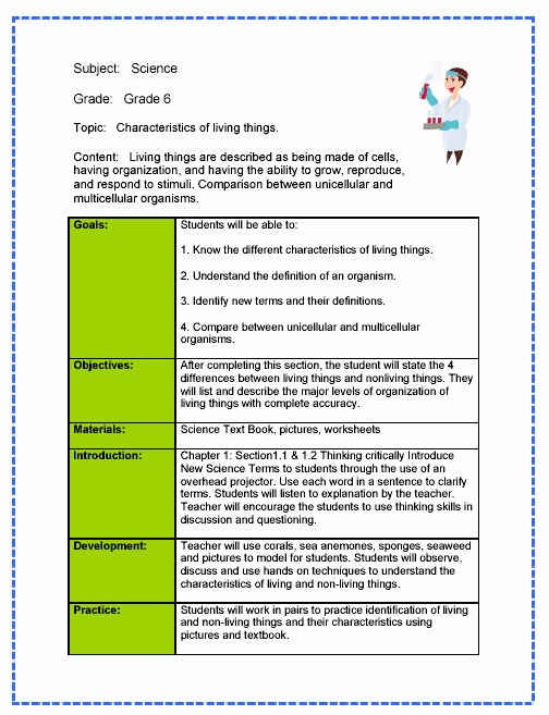 Template for A Lesson Plan Beautiful Lesson Plan format