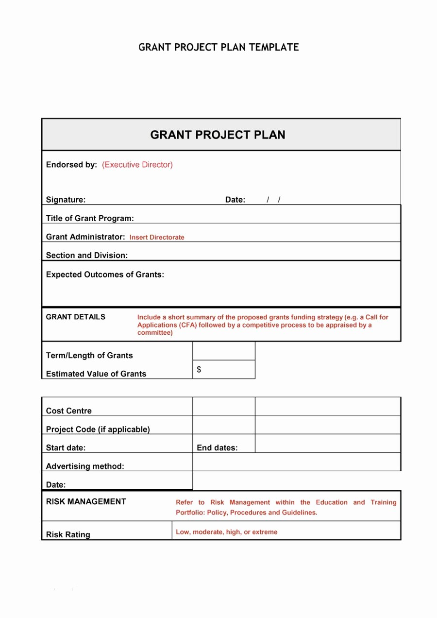 Template for A Project Plan Luxury 48 Professional Project Plan Templates [excel Word Pdf