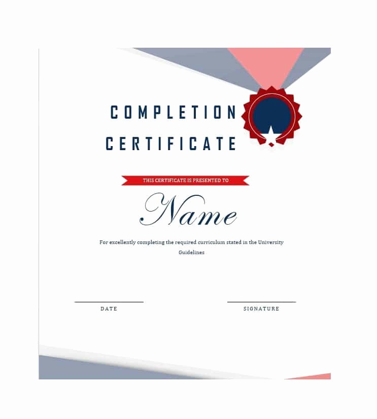 Template for Certificate Of Completion Lovely 40 Fantastic Certificate Of Pletion Templates [word