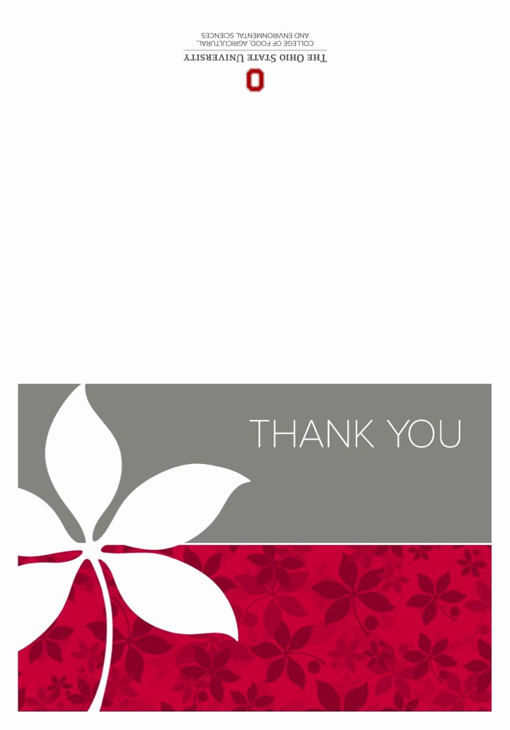 Template for Thank You Card Best Of Thank You Card Templates