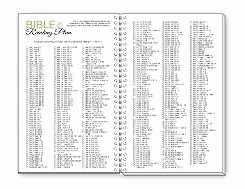 The Office Daily Calendar 2017 New 2017 Tree Of Life Inspirational Christian Daily Planner