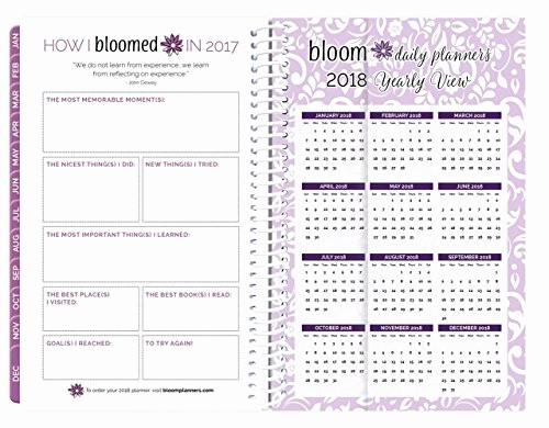 The Office Daily Calendar 2017 New Bloom Daily Planners 2017 Calendar Year Daily Planner