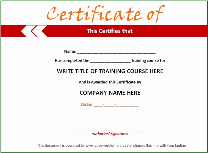 Training Certificate Template Free Download Lovely Training Certificate Template 21 Free Word Pdf Psd