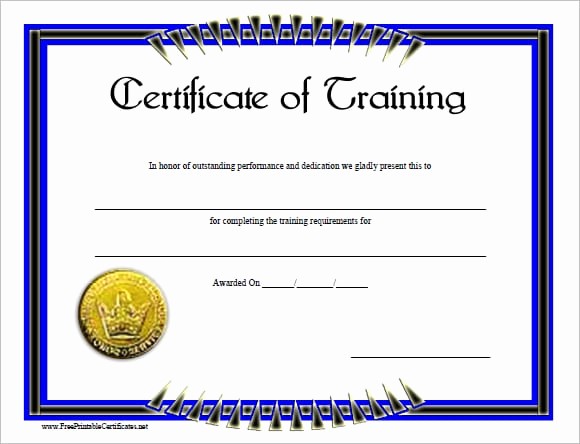 Training Certificate Template Free Download Luxury 6 Free Training Certificate Templates Excel Pdf formats