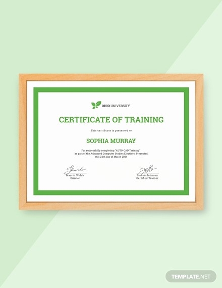 Training Certificates Templates Free Download Elegant 13 Free Training Certificate Templates