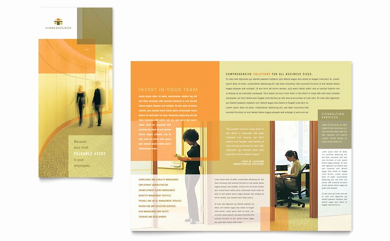 Tri Fold Brochure Word Template Inspirational Hr Consulting Tri Fold Brochure Template Word &amp; Publisher
