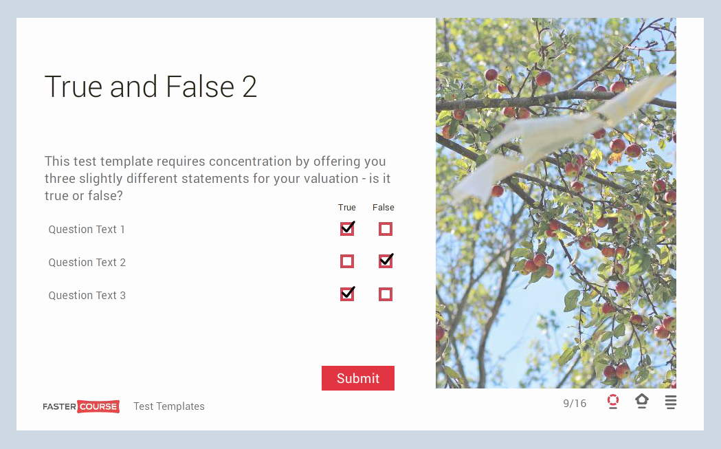 True or False Test Template Elegant Storyline Template Guide E Learning Templates Fastercourse