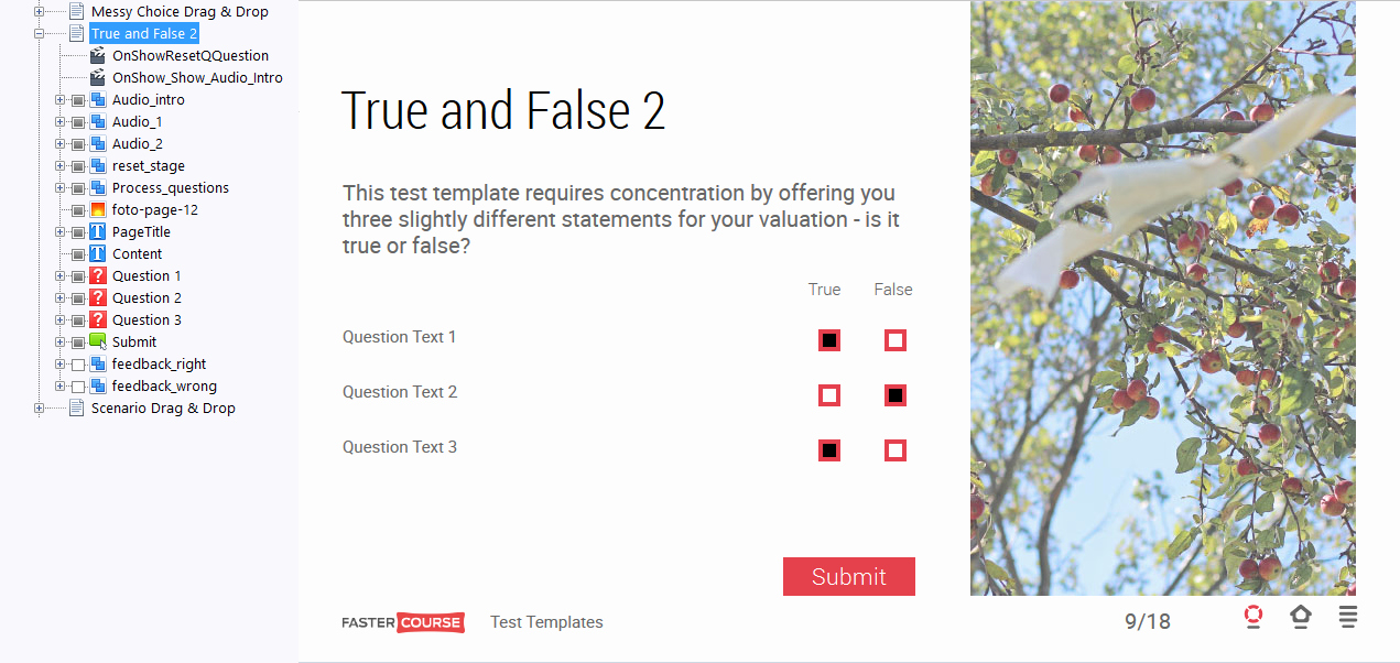 True or False Test Template Elegant Test Template Guide Lectora Templates Fastercourse
