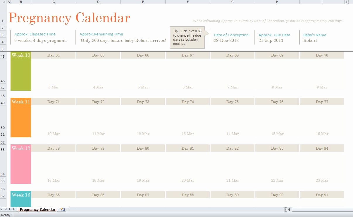 Week by Week Calendar Template Fresh Pregnancy Calendar Template