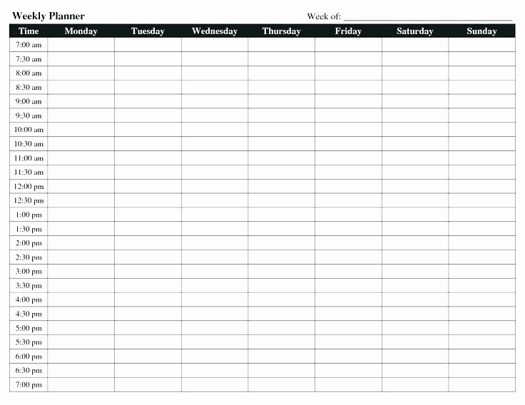 Weekly Hourly Planner Template Excel Best Of 5 Free Printable Hourly Planner Templates