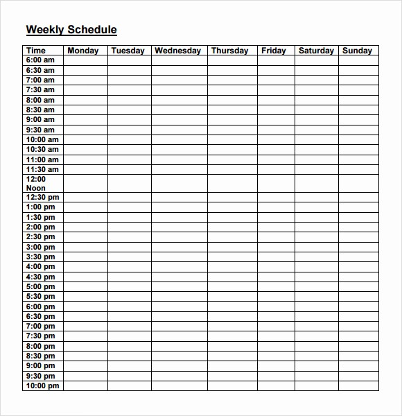 Weekly Hourly Planner Template Excel New 7 Weekly Agenda Samples