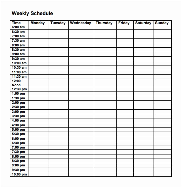 43-effective-hourly-schedule-templates-excel-ms-word-templatelab