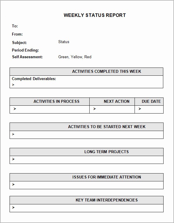 Weekly Project Status Report Templates Unique 11 Sample Status Reports