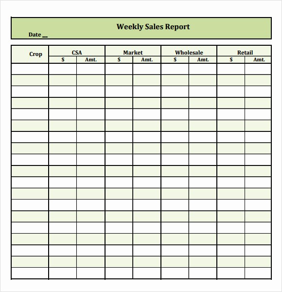 Weekly Sales Call Report Template Best Of 13 Sales Report Samples