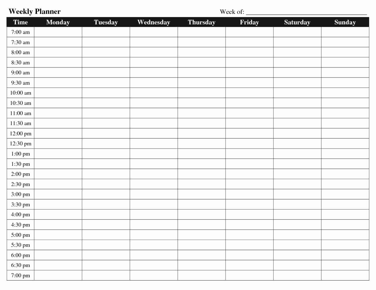 Weekly Schedule by Hour Template Elegant Hourly Schedule Template
