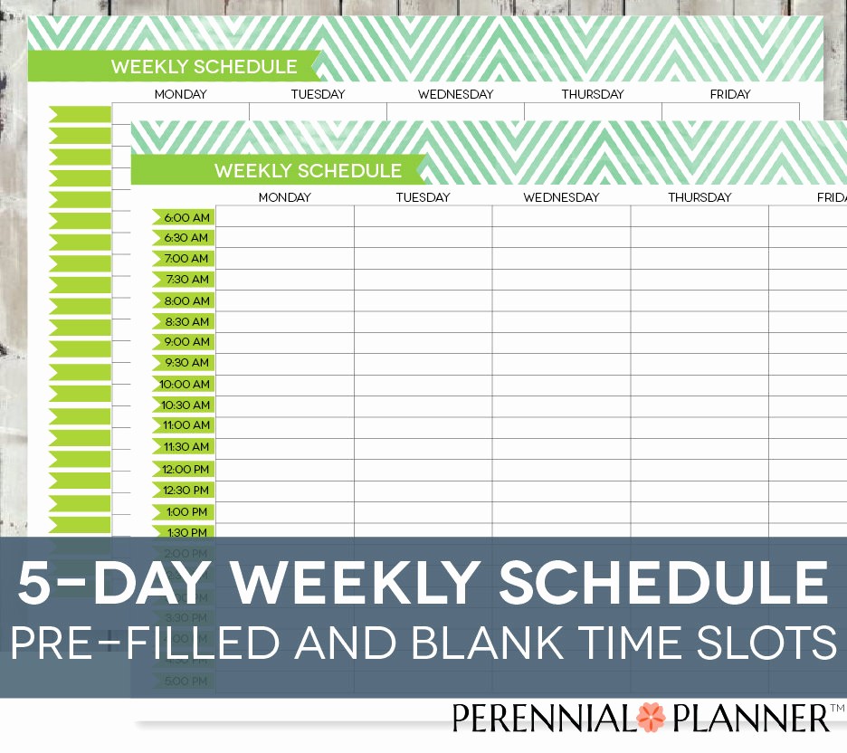 Weekly Schedule with Times Template Fresh Daily Schedule Printable Editable Times Half Hourly Weekly