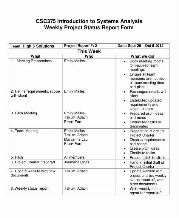 Weekly Team Status Report Template Fresh Project Update Template 7 Free Word Pdf Documents