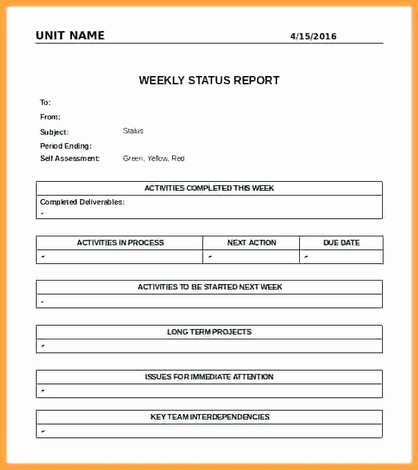 Weekly Team Status Report Template Luxury Team Report Template Monthly Project Report Template Team