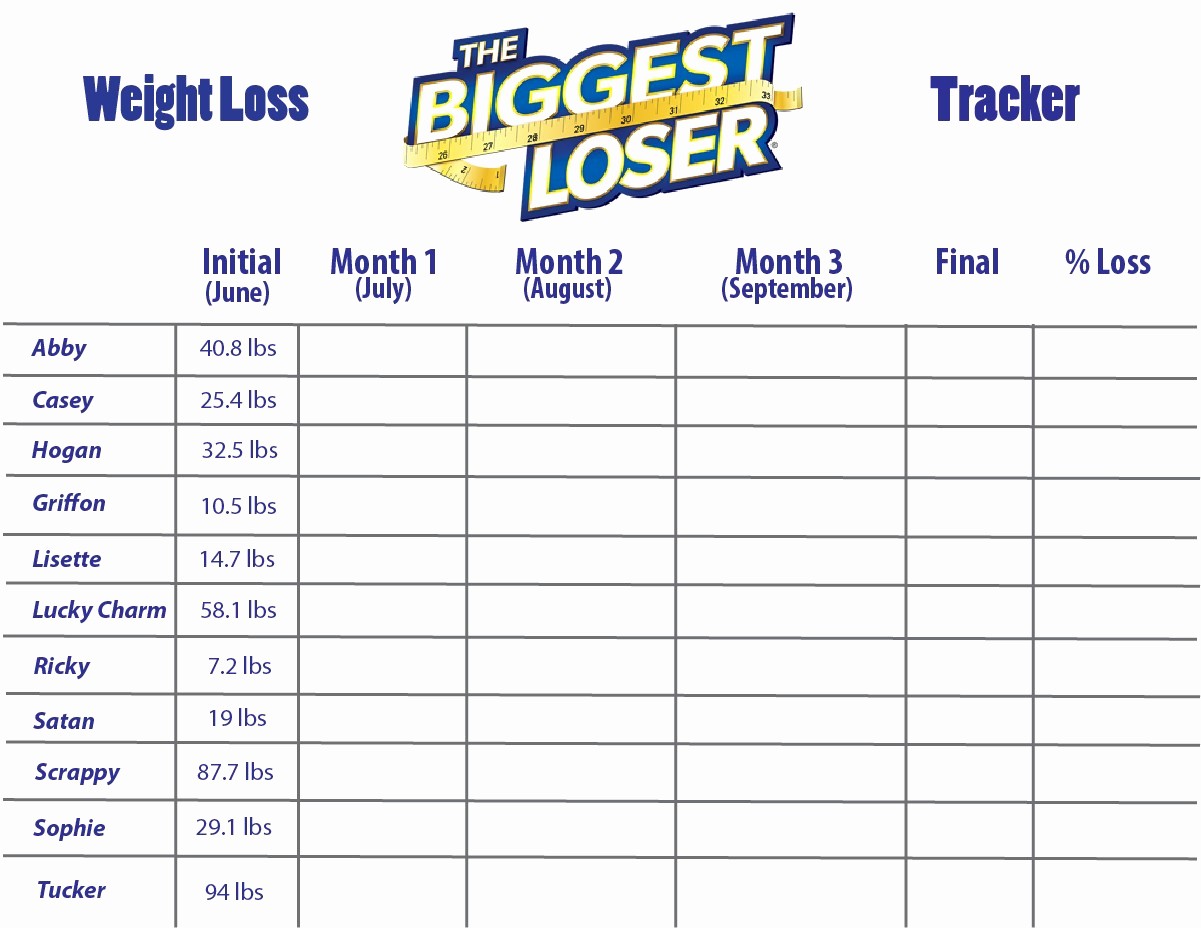 Weight Loss Challenge Flyer Template Best Of 28 Of Biggest Loser Template