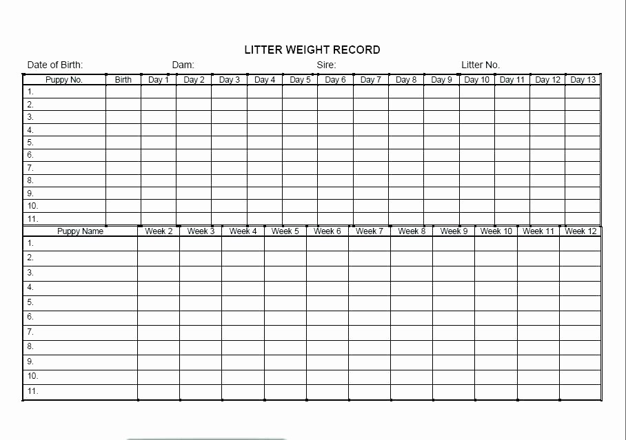 Weight Loss Chart Printable Blank Elegant Free Printable Weight Loss Tracker Chart Template Blank