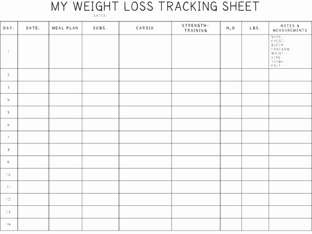 Weight Loss Spreadsheet Google Docs Awesome Weight Loss Tracking Sheets New Weight Loss Bros Workout