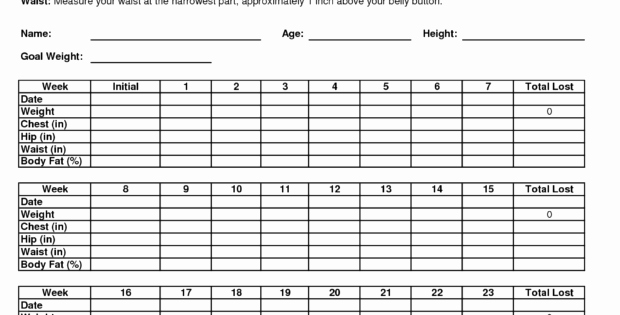 Weight Loss Spreadsheet Google Docs Beautiful Weight Loss Spreadsheet Google Docs