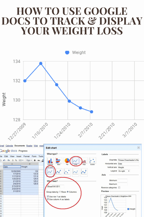 Weight Loss Spreadsheet Google Docs Lovely How to Use Google Docs to Track and Display Your Weight