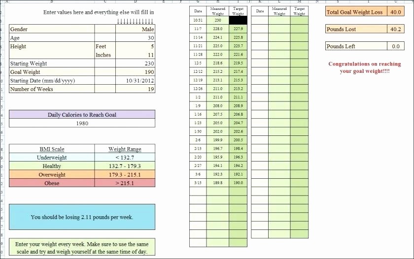 Weight Loss Tracker Excel Spreadsheet Inspirational Weight Loss by Percentage Spreadsheet – Kundo