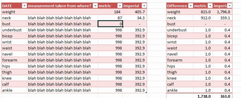 weight loss tracker excel template