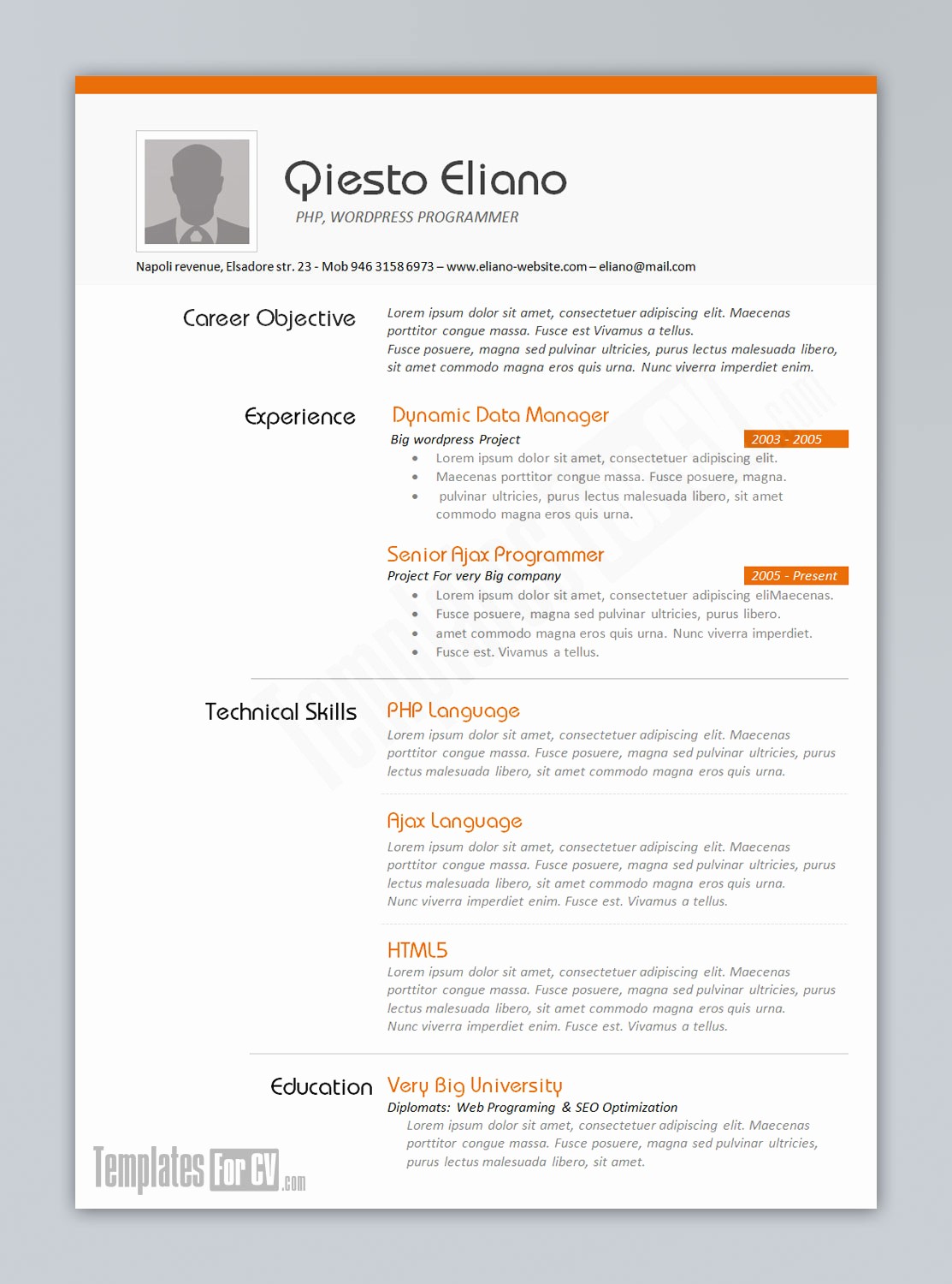 Where to Find Resume Templates Awesome Programmer Resume Template