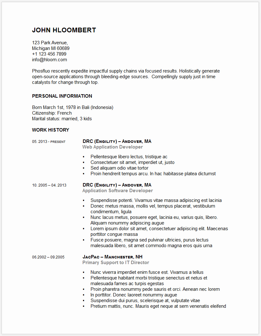 free microsoft word doc professional job resume and cv templates