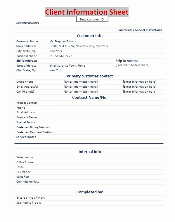 Customer Information Sheet Template Unique Client Information Sheet Template Excel Pdf formats