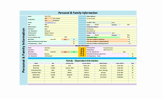 Financial Plan Template Excel New Personal Financial Planning Templates Excel Free Yearly