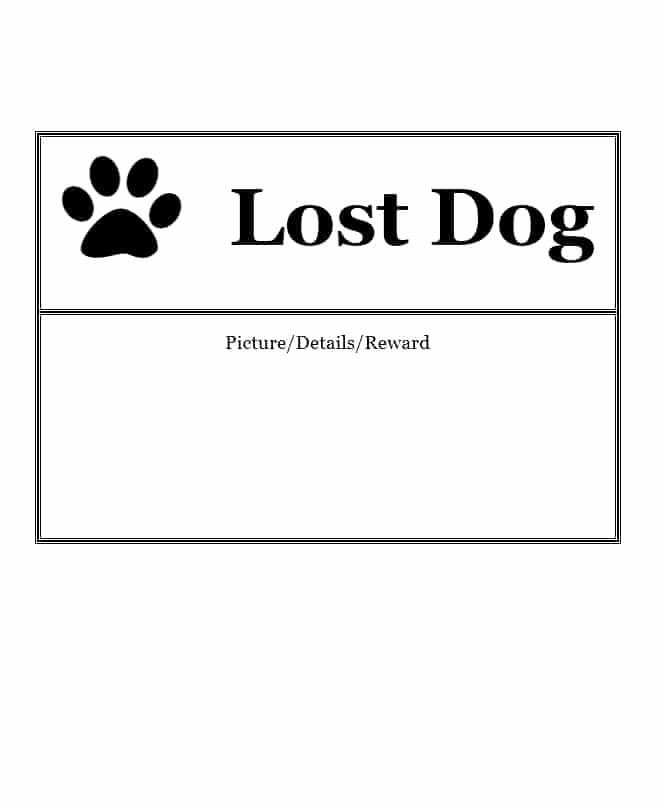 Missing Dog Flyer Template Luxury 40 Lost Pet Flyers [missing Cat Dog Poster] Template