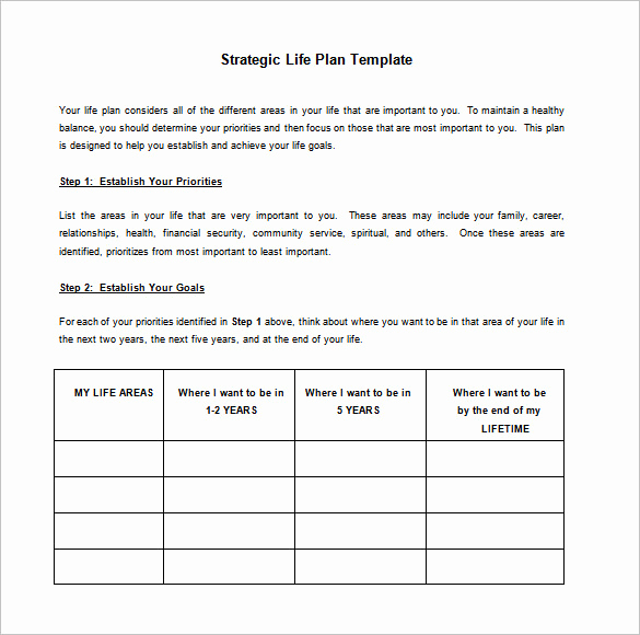 Strategic Planning Template Word Unique Strategic Action Plan Template 14 Free Pdf Word format